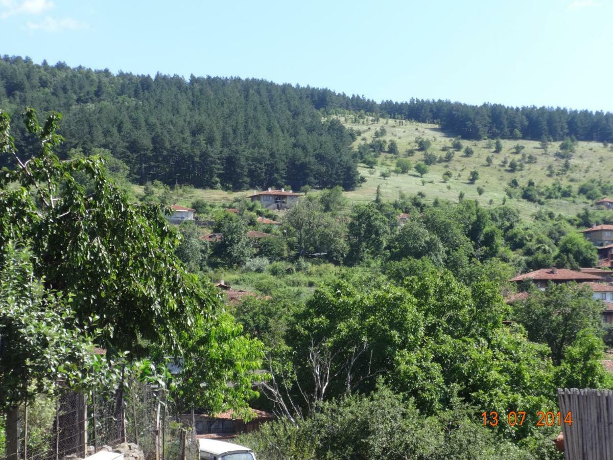 Guest House Zarkova Kushta Żerawna Zewnętrze zdjęcie