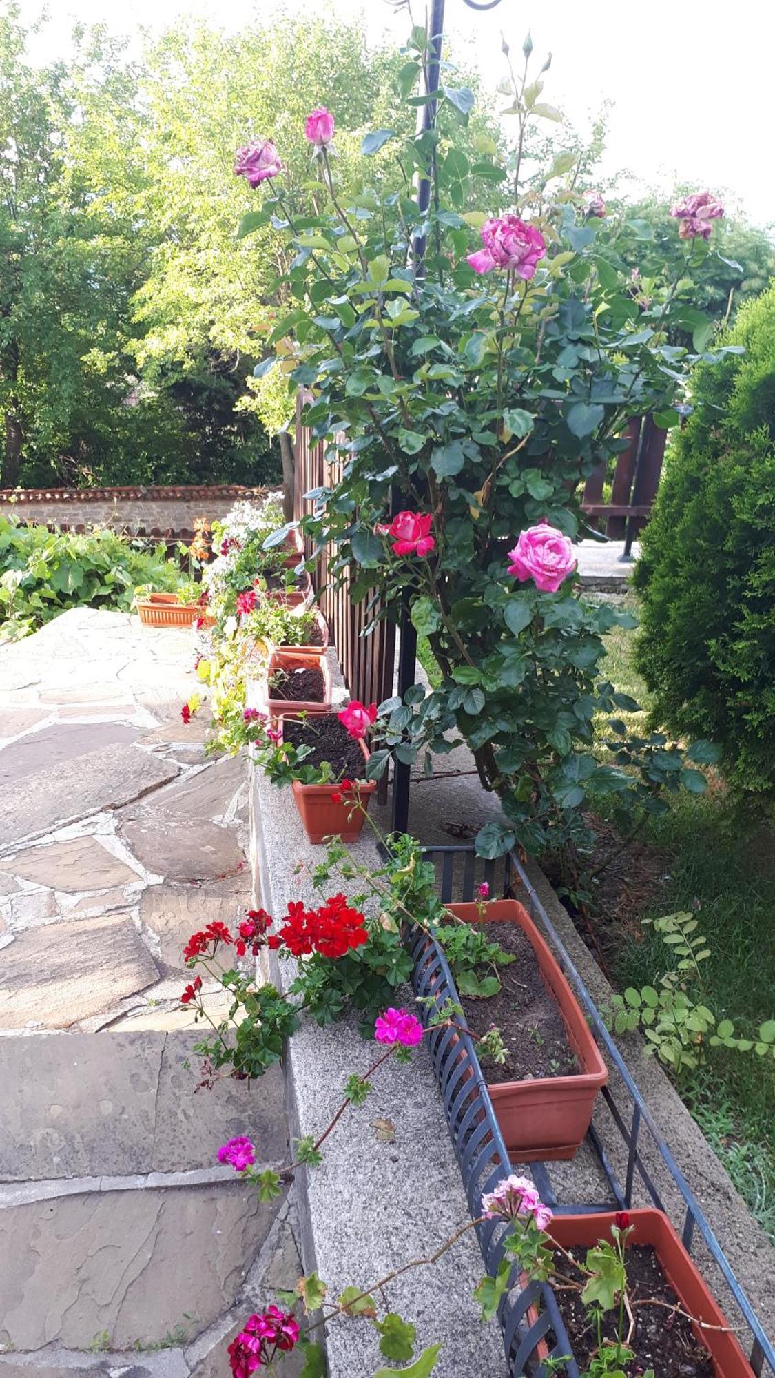 Guest House Zarkova Kushta Żerawna Zewnętrze zdjęcie
